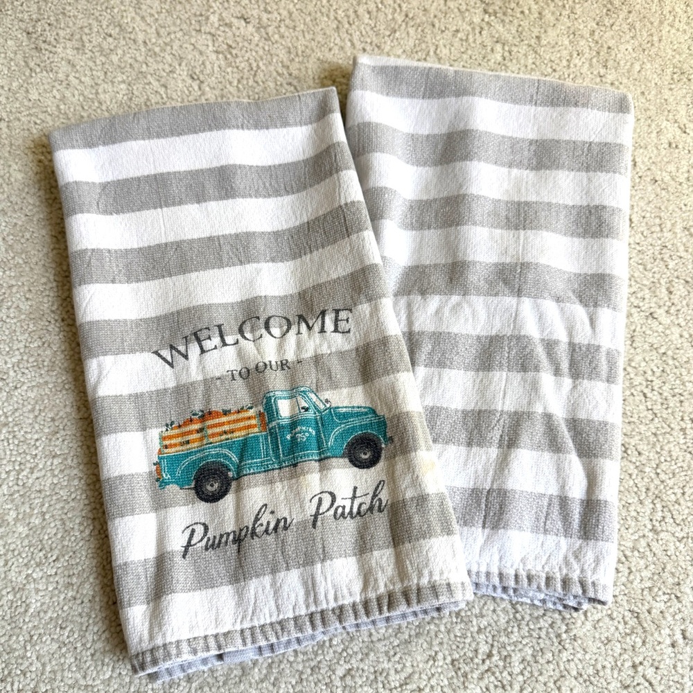 Set of 2 Fall Harvest Themed Kitchen Towels